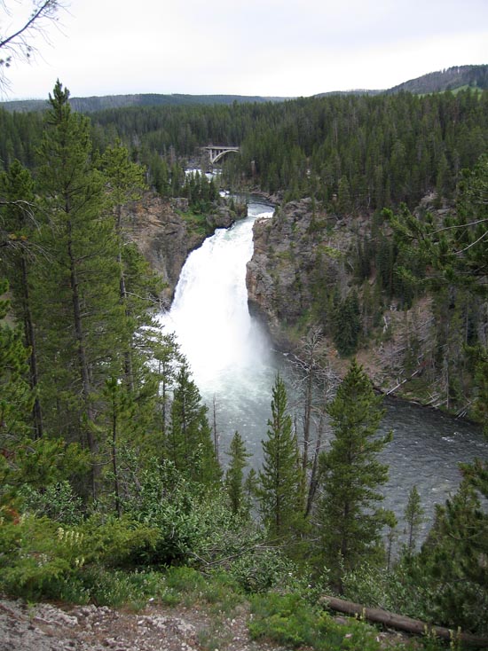 2006 family reunion in Yellowstone National Park